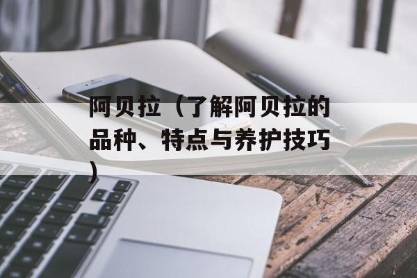 阿贝拉（了解阿贝拉的品种、特点与养护技巧）-第1张图片-