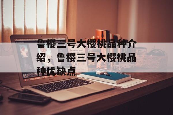 鲁樱三号大樱桃品种介绍，鲁樱三号大樱桃品种优缺点-第1张图片-