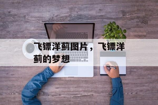 飞镖洋蓟图片，飞镖洋蓟的梦想-第1张图片-