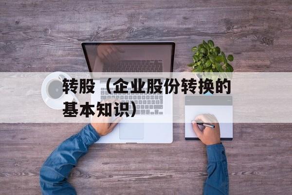 转股（企业股份转换的基本知识）-第1张图片-