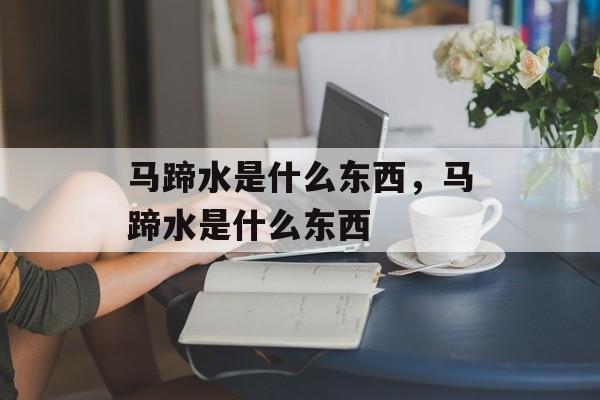 马蹄水是什么东西，马蹄水是什么东西-第1张图片-