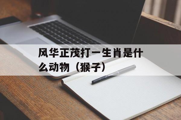风华正茂打一生肖是什么动物（猴子）-第1张图片-