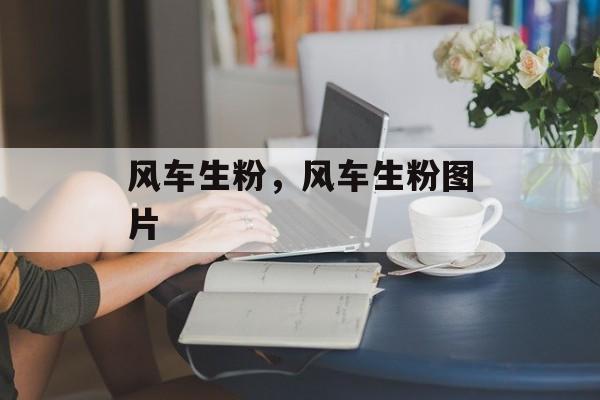 风车生粉，风车生粉图片-第1张图片-
