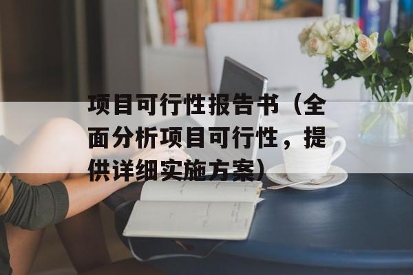 项目可行性报告书（全面分析项目可行性，提供详细实施方案）-第1张图片-