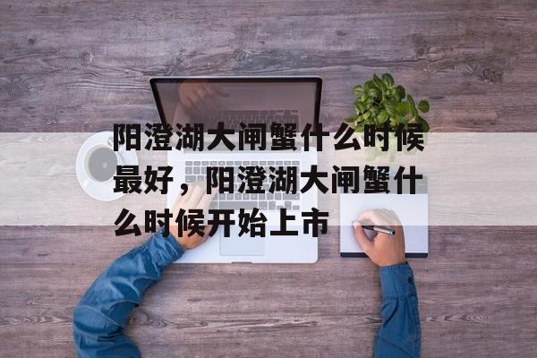 阳澄湖大闸蟹什么时候最好，阳澄湖大闸蟹什么时候开始上市-第1张图片-