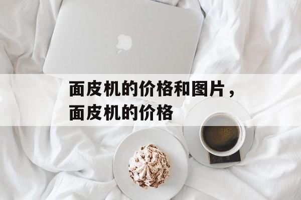 面皮机的价格和图片，面皮机的价格-第1张图片-