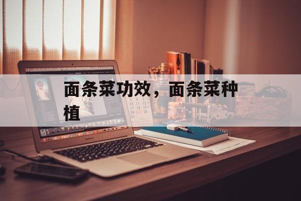 面条菜功效，面条菜种植-第1张图片-