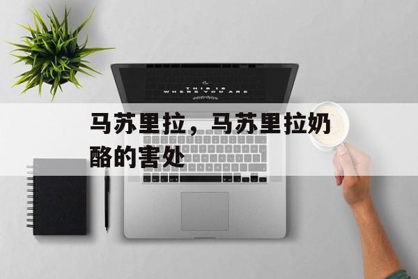 马苏里拉，马苏里拉奶酪的害处-第1张图片-