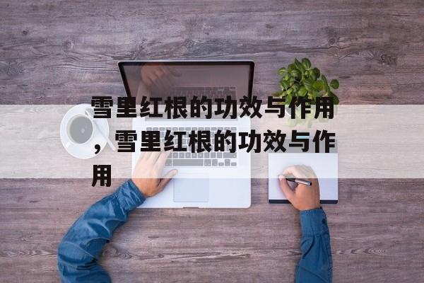 雪里红根的功效与作用，雪里红根的功效与作用-第1张图片-