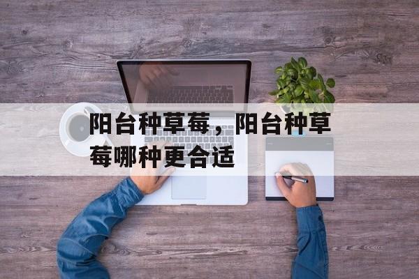 阳台种草莓，阳台种草莓哪种更合适-第1张图片-