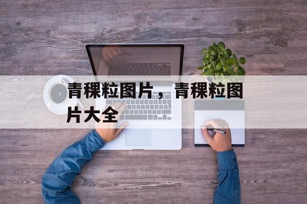 青稞粒图片，青稞粒图片大全-第1张图片-
