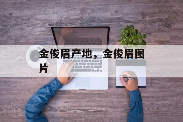 金俊眉产地，金俊眉图片-第1张图片-