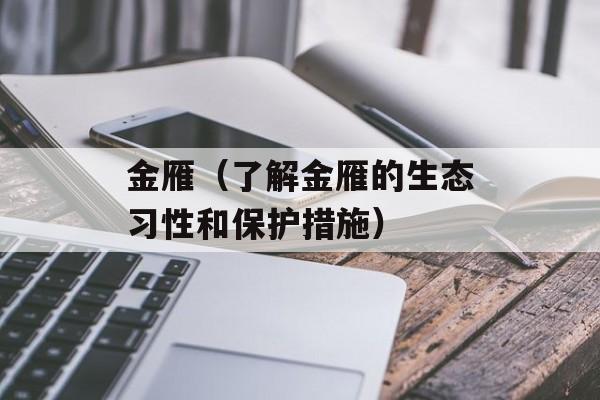 金雁（了解金雁的生态习性和保护措施）-第1张图片-