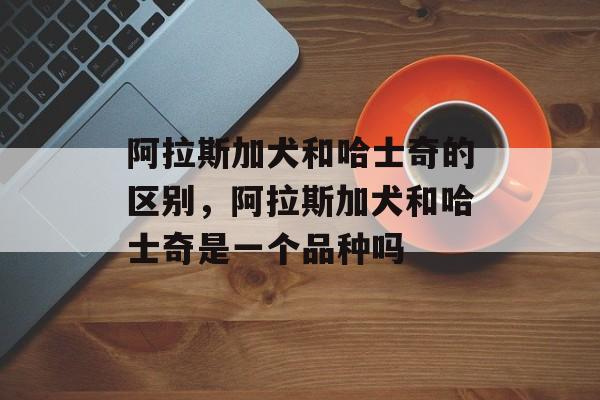 阿拉斯加犬和哈士奇的区别，阿拉斯加犬和哈士奇是一个品种吗-第1张图片-