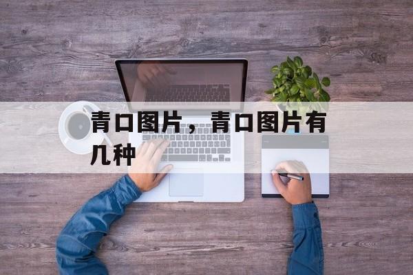 青口图片，青口图片有几种-第1张图片-