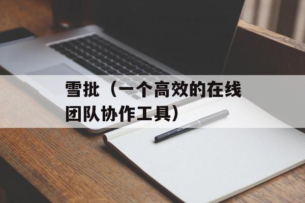 雪批（一个高效的在线团队协作工具）-第1张图片-