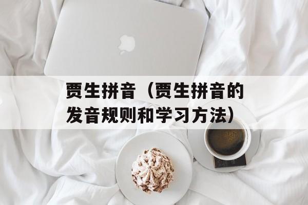 贾生拼音（贾生拼音的发音规则和学习方法）-第1张图片-