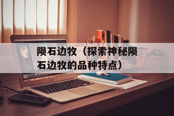 陨石边牧（探索神秘陨石边牧的品种特点）-第1张图片-