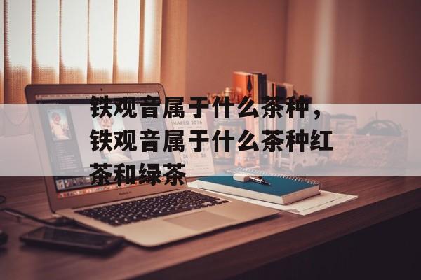 铁观音属于什么茶种，铁观音属于什么茶种红茶和绿茶-第1张图片-