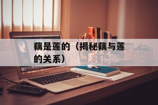 藕是莲的（揭秘藕与莲的关系）-第1张图片-