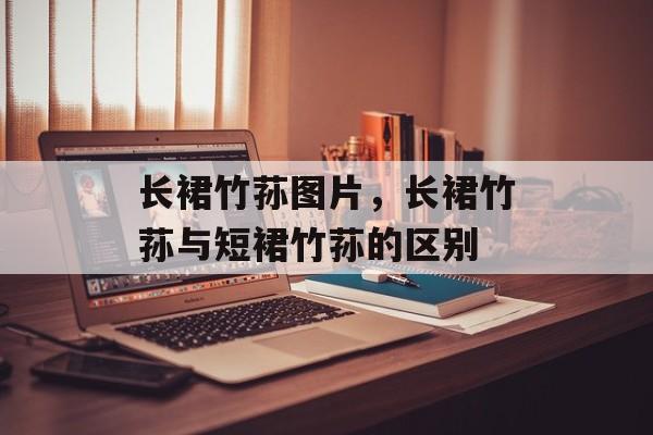 长裙竹荪图片，长裙竹荪与短裙竹荪的区别-第1张图片-