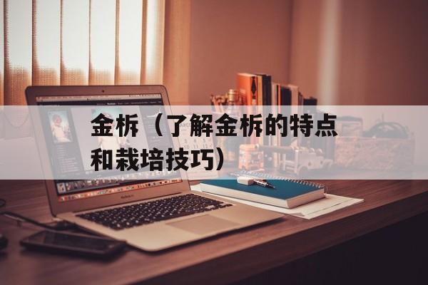 金柝（了解金柝的特点和栽培技巧）-第1张图片-