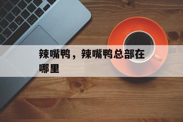 辣嘴鸭，辣嘴鸭总部在哪里-第1张图片-