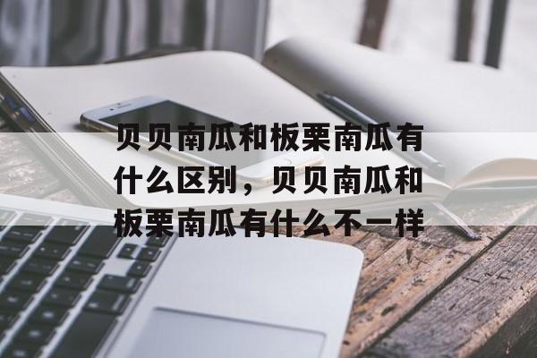 贝贝南瓜和板栗南瓜有什么区别，贝贝南瓜和板栗南瓜有什么不一样-第1张图片-