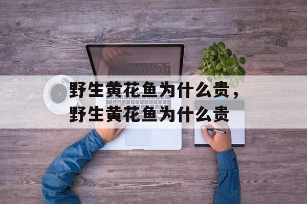 野生黄花鱼为什么贵，野生黄花鱼为什么贵-第1张图片-