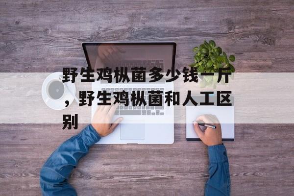 野生鸡枞菌多少钱一斤，野生鸡枞菌和人工区别-第1张图片-