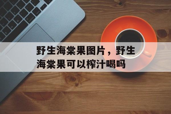 野生海棠果图片，野生海棠果可以榨汁喝吗-第1张图片-