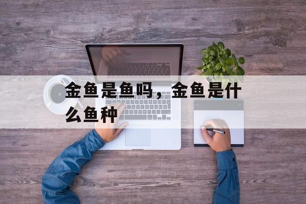 金鱼是鱼吗，金鱼是什么鱼种-第1张图片-