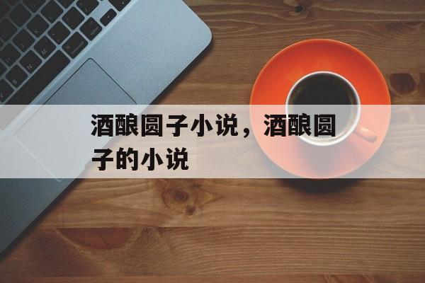 酒酿圆子小说，酒酿圆子的小说-第1张图片-