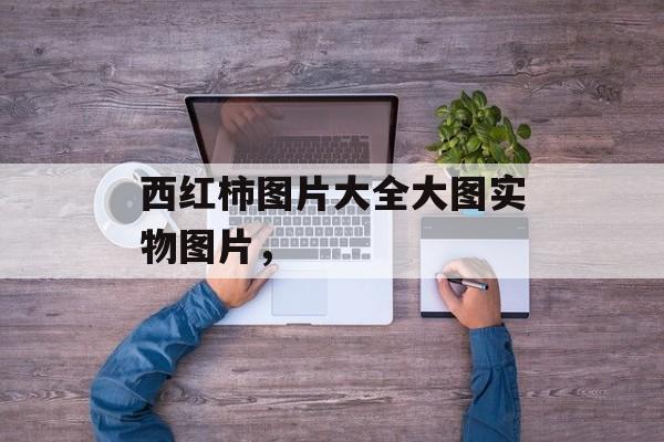 西红柿图片大全大图实物图片，-第1张图片-