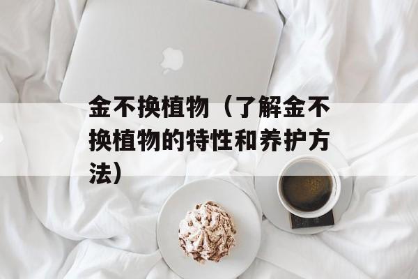 金不换植物（了解金不换植物的特性和养护方法）-第1张图片-