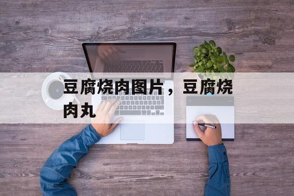 豆腐烧肉图片，豆腐烧肉丸-第1张图片-
