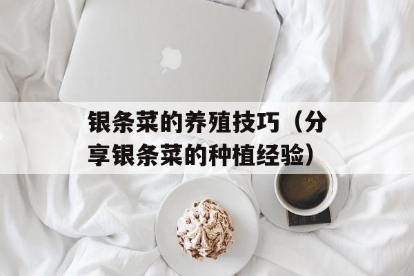 银条菜的养殖技巧（分享银条菜的种植经验）-第1张图片-