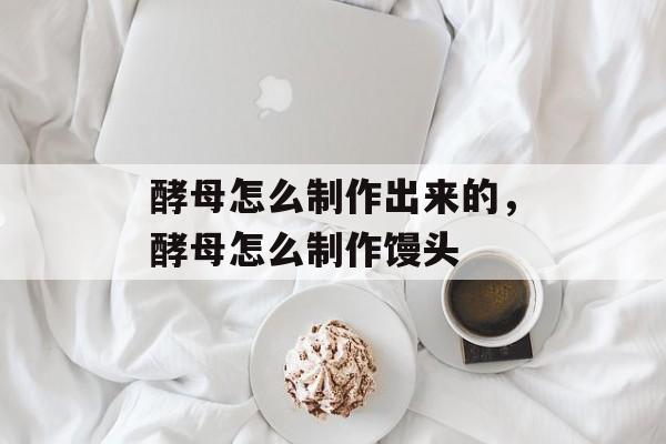 酵母怎么制作出来的，酵母怎么制作馒头-第1张图片-