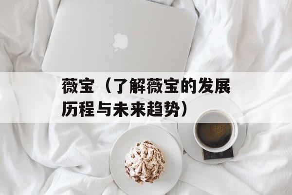 薇宝（了解薇宝的发展历程与未来趋势）-第1张图片-