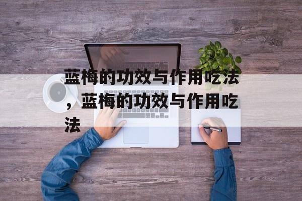 蓝梅的功效与作用吃法，蓝梅的功效与作用吃法-第1张图片-