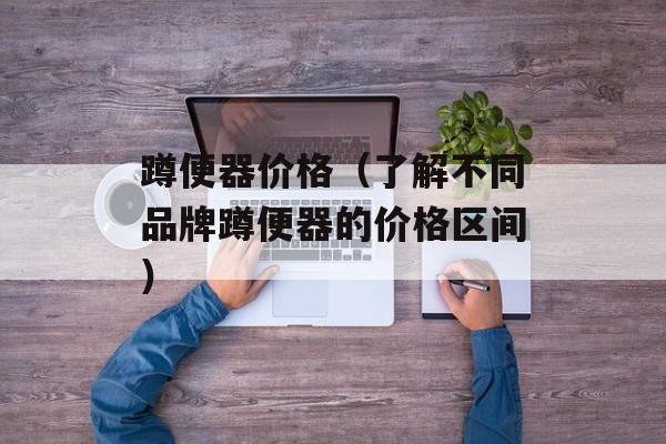 蹲便器价格（了解不同品牌蹲便器的价格区间）-第1张图片-
