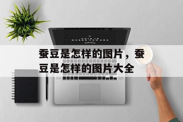 蚕豆是怎样的图片，蚕豆是怎样的图片大全-第1张图片-