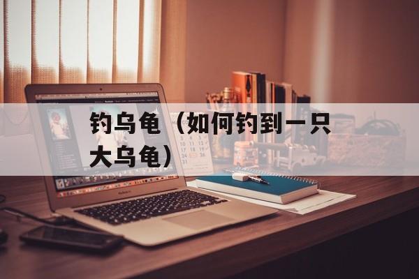钓乌龟（如何钓到一只大乌龟）-第1张图片-