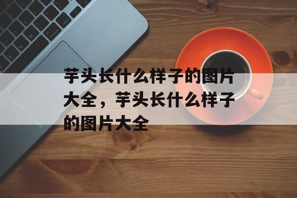 芋头长什么样子的图片大全，芋头长什么样子的图片大全-第1张图片-