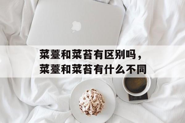 菜薹和菜苔有区别吗，菜薹和菜苔有什么不同-第1张图片-