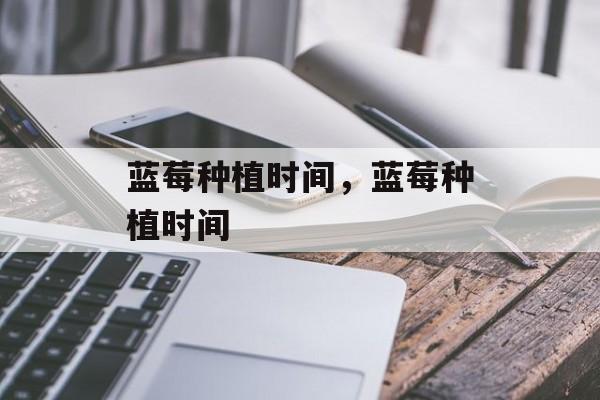 蓝莓种植时间，蓝莓种植时间-第1张图片-
