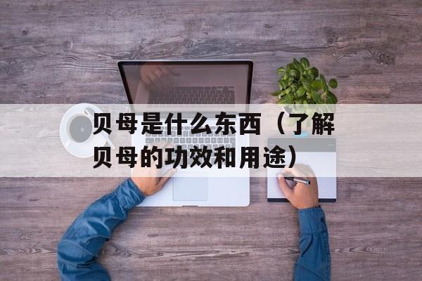 贝母是什么东西（了解贝母的功效和用途）-第1张图片-