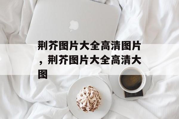 荆芥图片大全高清图片，荆芥图片大全高清大图-第1张图片-