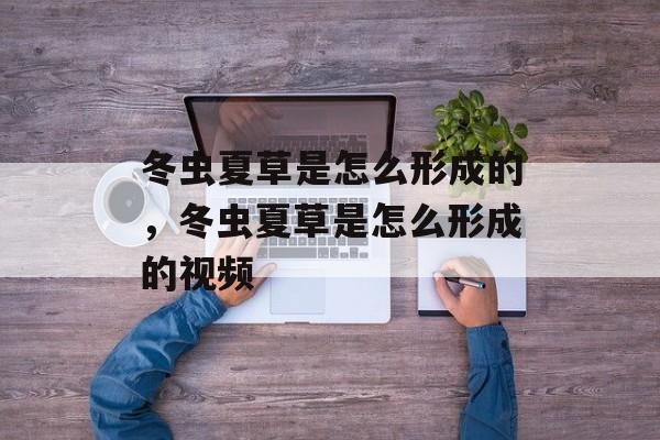 冬虫夏草是怎么形成的，冬虫夏草是怎么形成的视频-第1张图片-