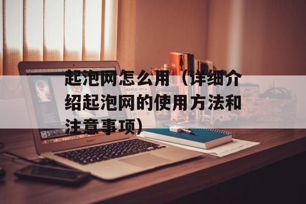 起泡网怎么用（详细介绍起泡网的使用方法和注意事项）-第1张图片-